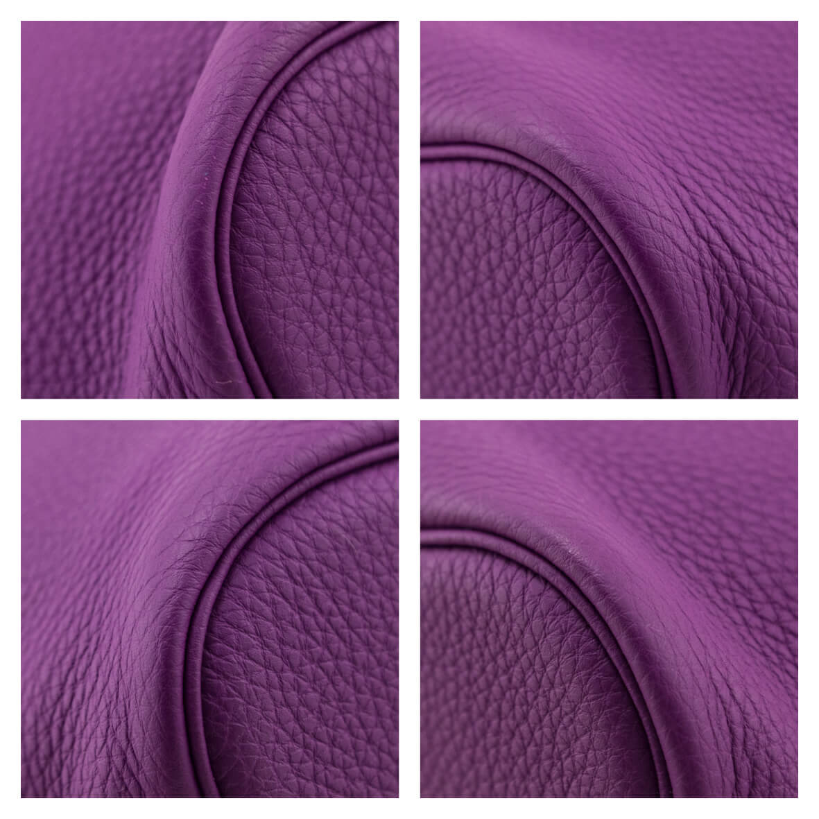 Anemone Togo So Kelly 26 — Kovancy